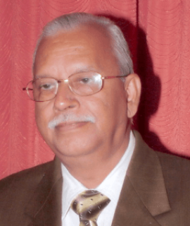 Suresh C Ameta, Speaker at Catalysis Conferences